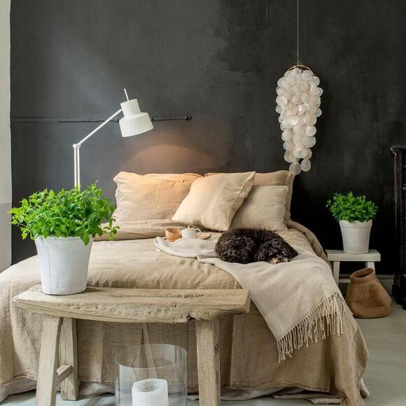 Product image 1 of Remy Duvet cover